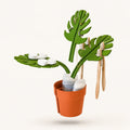Monstera Mirror-Mount Organizer - Premium Polymer - Collected Lab